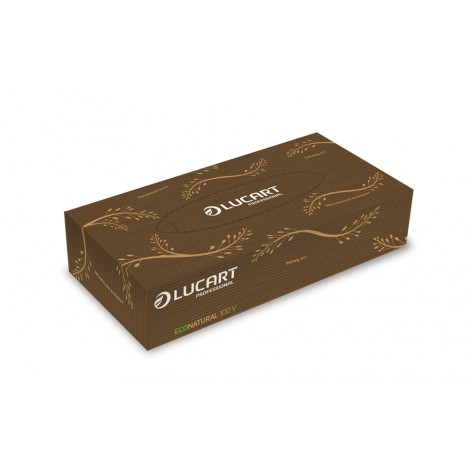 Veline multiuso EcoNatural in fiberpack, 100 strappi, dimensione 21x20cm, 2 veli