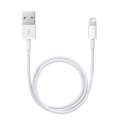 Con il cavo da Lightning a USB ricarichi il tuo iPhone o iPod con connettore Lightning e li sincronizzi al tuo Mac o PC Windows. Questo cavo USB 2.0 collega l’iPhone o l’iPod con connettore Lightning alla porta USB del tuo computer (direttamente o tramite dock) per ricaricare e sincronizzare il dispositivo, oppure all’alimentatore USB Apple per ricaricarlo in tutta comodità da una presa di corrente.