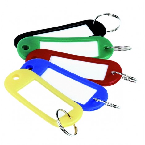 Portachiavi con targhetta in plastica ed anello, dimensioni 20x50mm colori assortiti  - 100pz