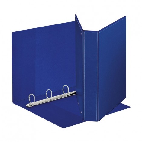 Esselte Raccoglitori personalizzabili Display 22x30cm d. 2,5cm 4 anelli tondi da 25mm, tasca trasparente interna colore blu – 1pz