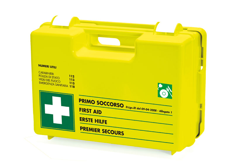 Valigetta Pronto soccorso RISTOFLUO AB – D.L. 81/08 Kit ideali per i lavoratori nell’industria alimentare, catering, mense, banchi supermercati, negozi alimentari, macellerie, bar e ristoranti.