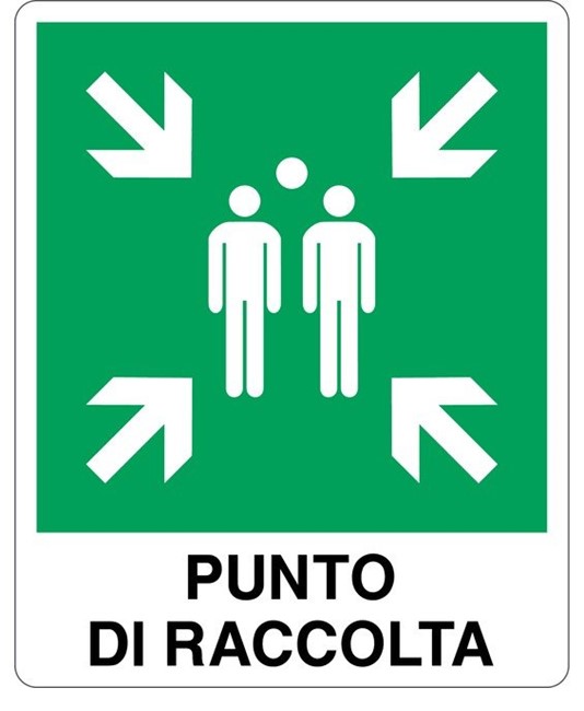 Cartello segnaletico Punto di raccolta 25x31cm
