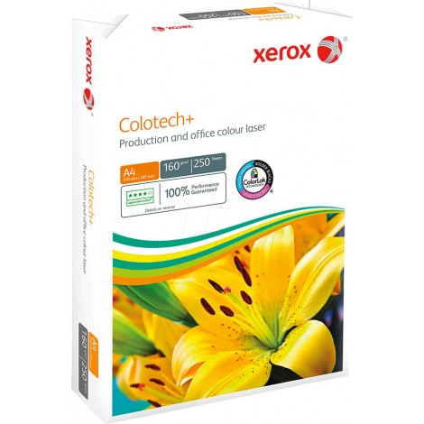 Xerox Colotech+ Gold - Carta A4, 250 fogli, 160gr, calandrata - 1pz
