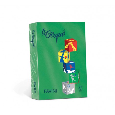 Fellowes Le Cirque – Carta A3, 250fg, 160gr, colore verde bandiera – 1pz –  A74D223 - C92FV0398