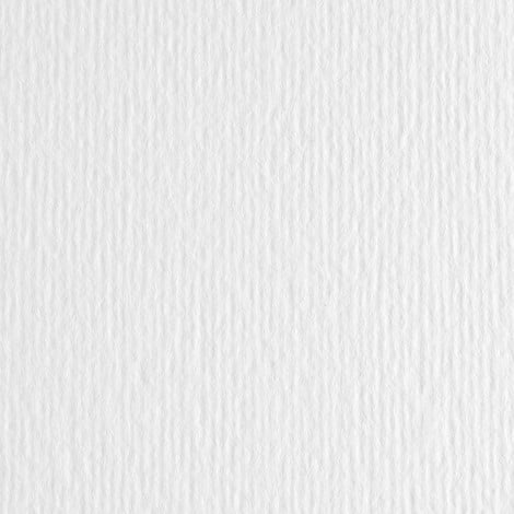 Fabriano Cartoncino bristol ELLE ERRE, superficie marcata sul retro e normale sul verso, 10 fogli, 220gr - 46470100 - C92FA0117